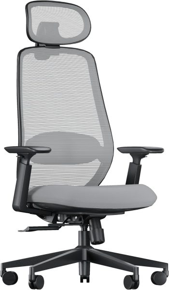 ProtoArc Ergonomiczne krzesło do domu i biura